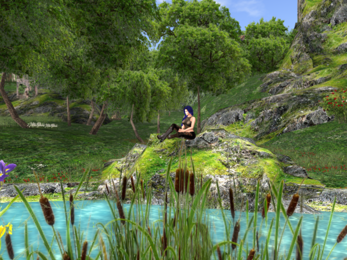 da-vinci-gardens-contemplating-life-by-the-river-30102016_001